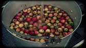 Crab Apple Jelly